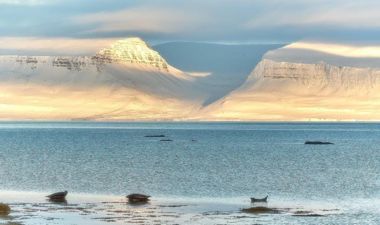 Sudavik Guesthouse Súðavík Zewnętrze zdjęcie